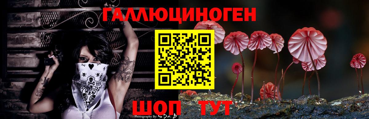 Псилоцибиновые грибы мицелий  Вход с VPN  Симферополь 